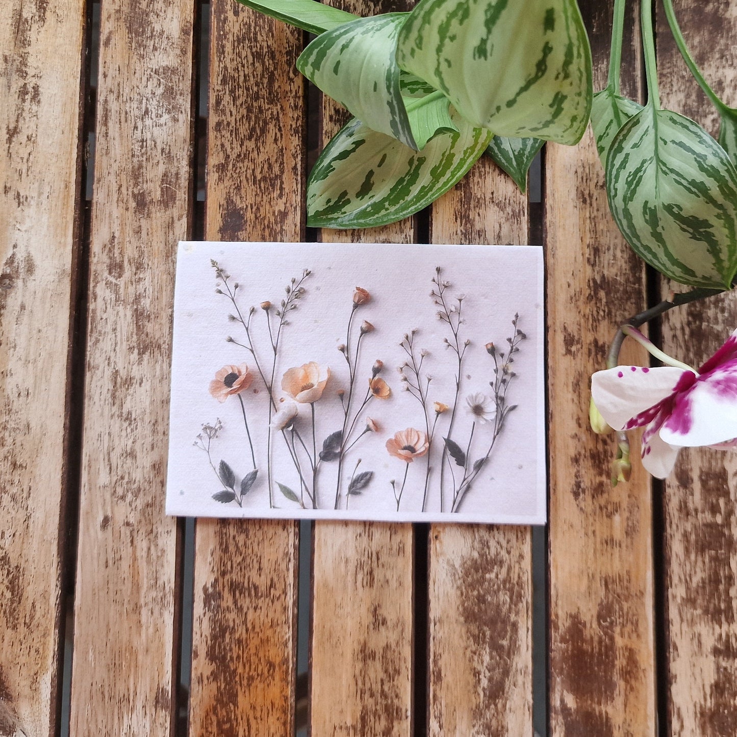 Carte de vœux écologique à planter - Sérénité