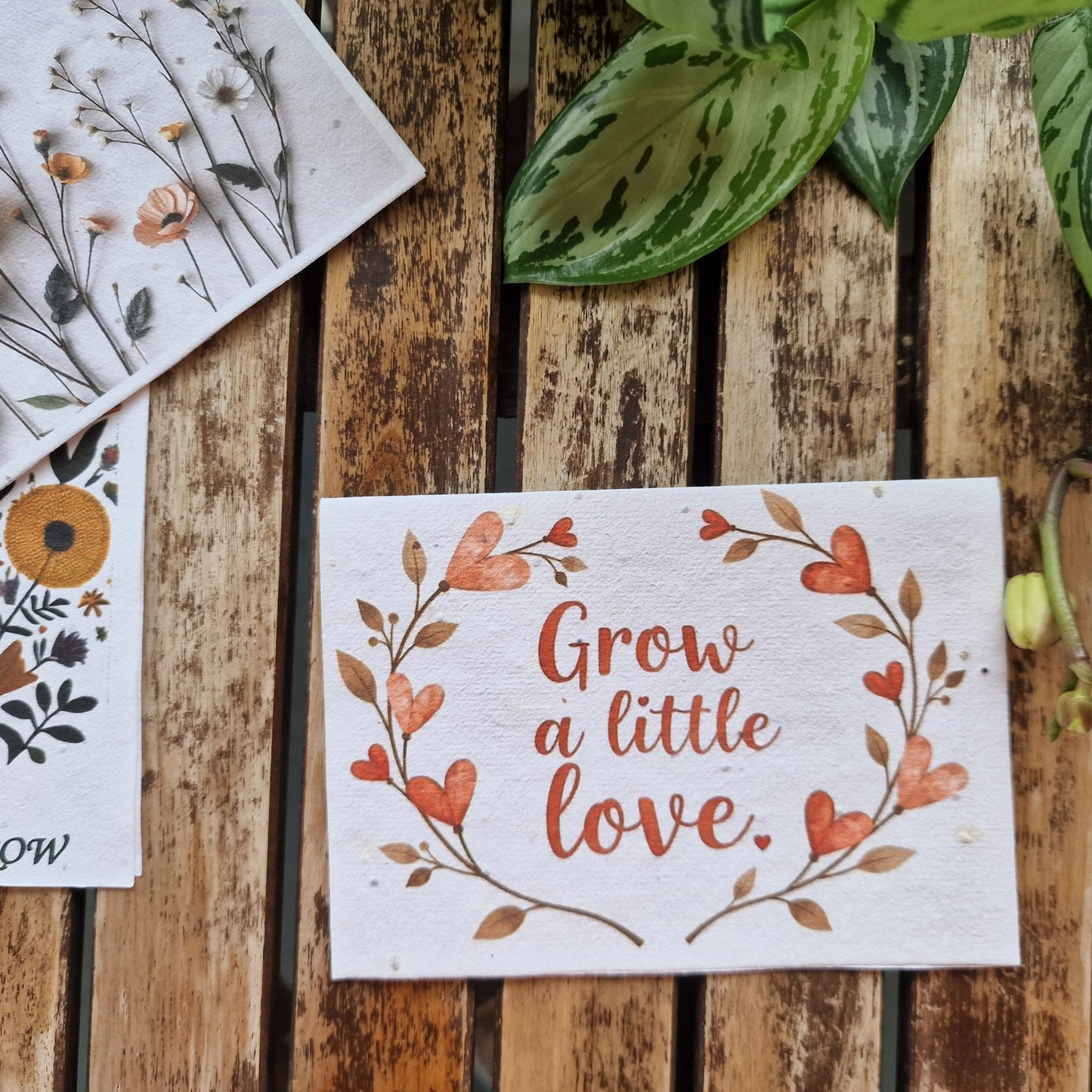 Umweltfreundliche, pflanzbare Grußkarte - Grow a little love