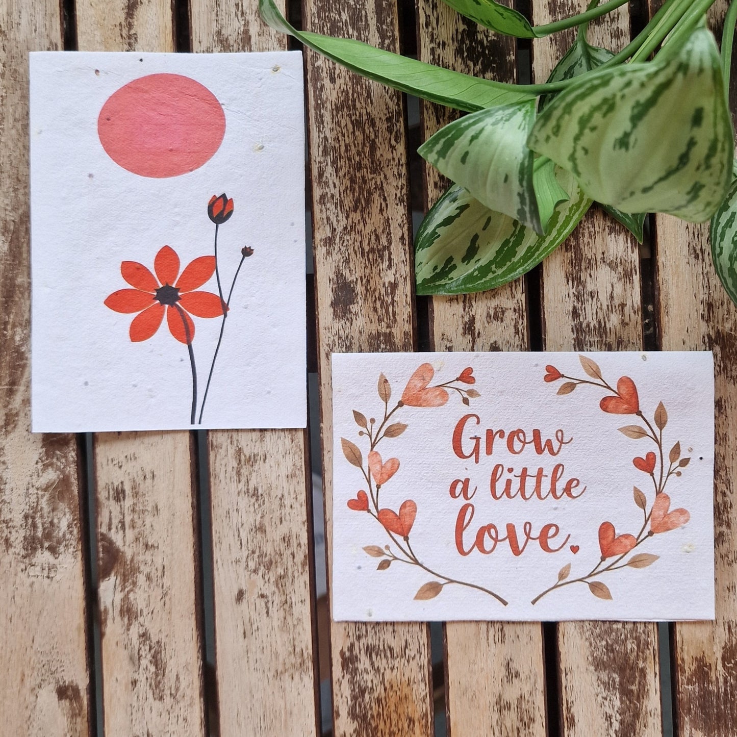 Umweltfreundliche, pflanzbare Grußkarte - Grow a little love