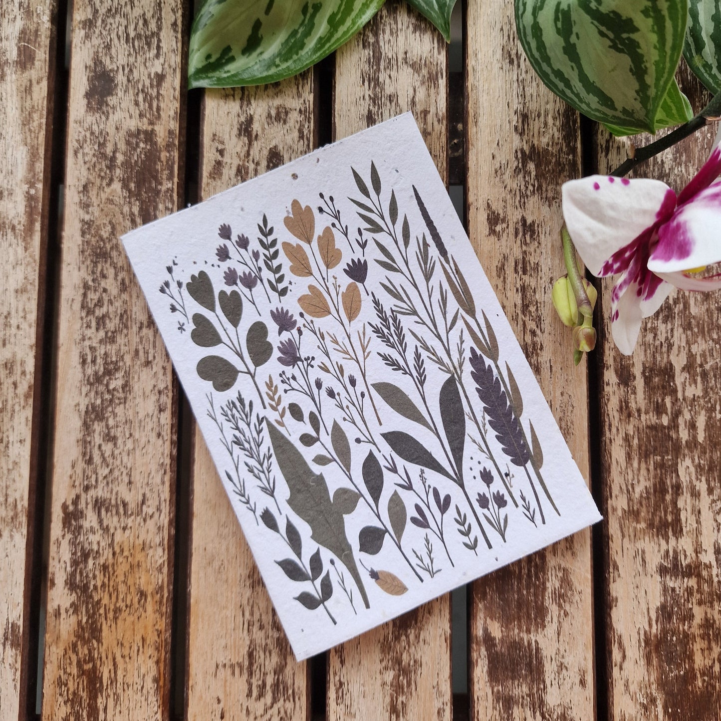 Eco-Friendly Plantable Greeting Card - Lavender