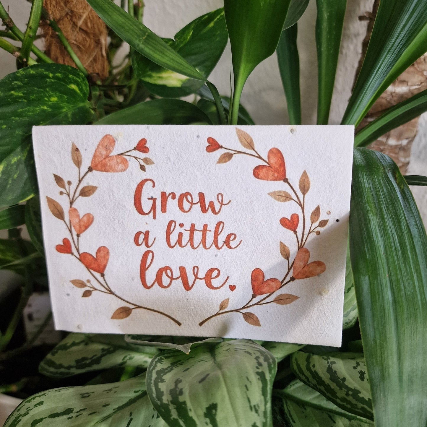 Umweltfreundliche, pflanzbare Grußkarte - Grow a little love